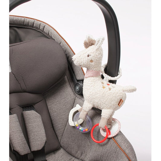 Activity - Lama with ring