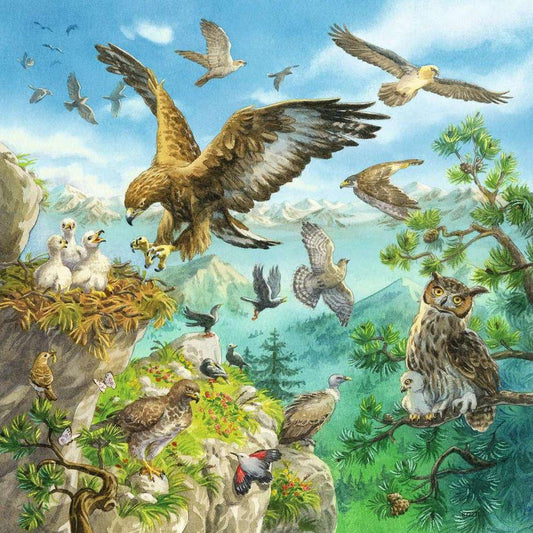 Animaux de Ravensbourg dans leurs habitats