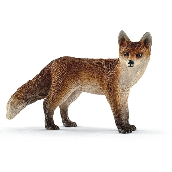 Renard Schleich