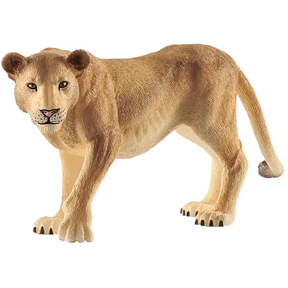 Lionne Schleich