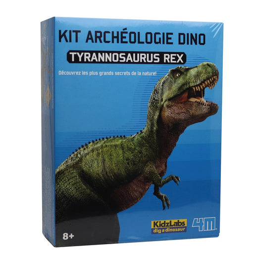 Ensemble d'excavation Dino 4 m - Tyrannosaure Rex