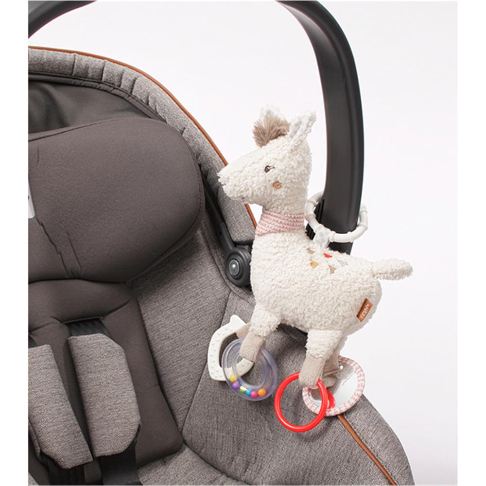 Activity - Lama with ring