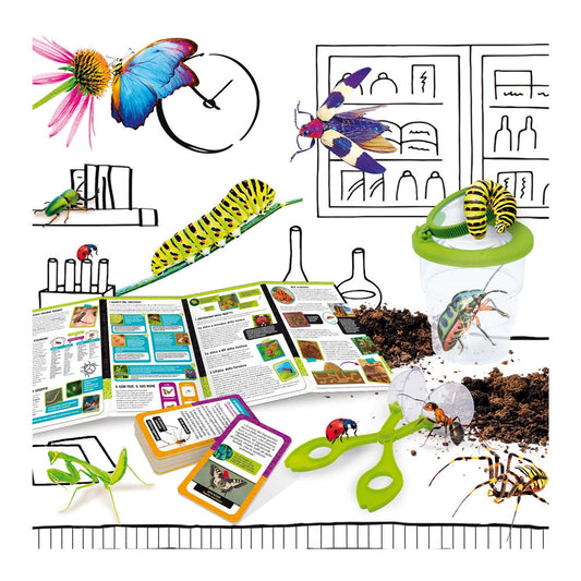 La Scienza degli insetti (i)