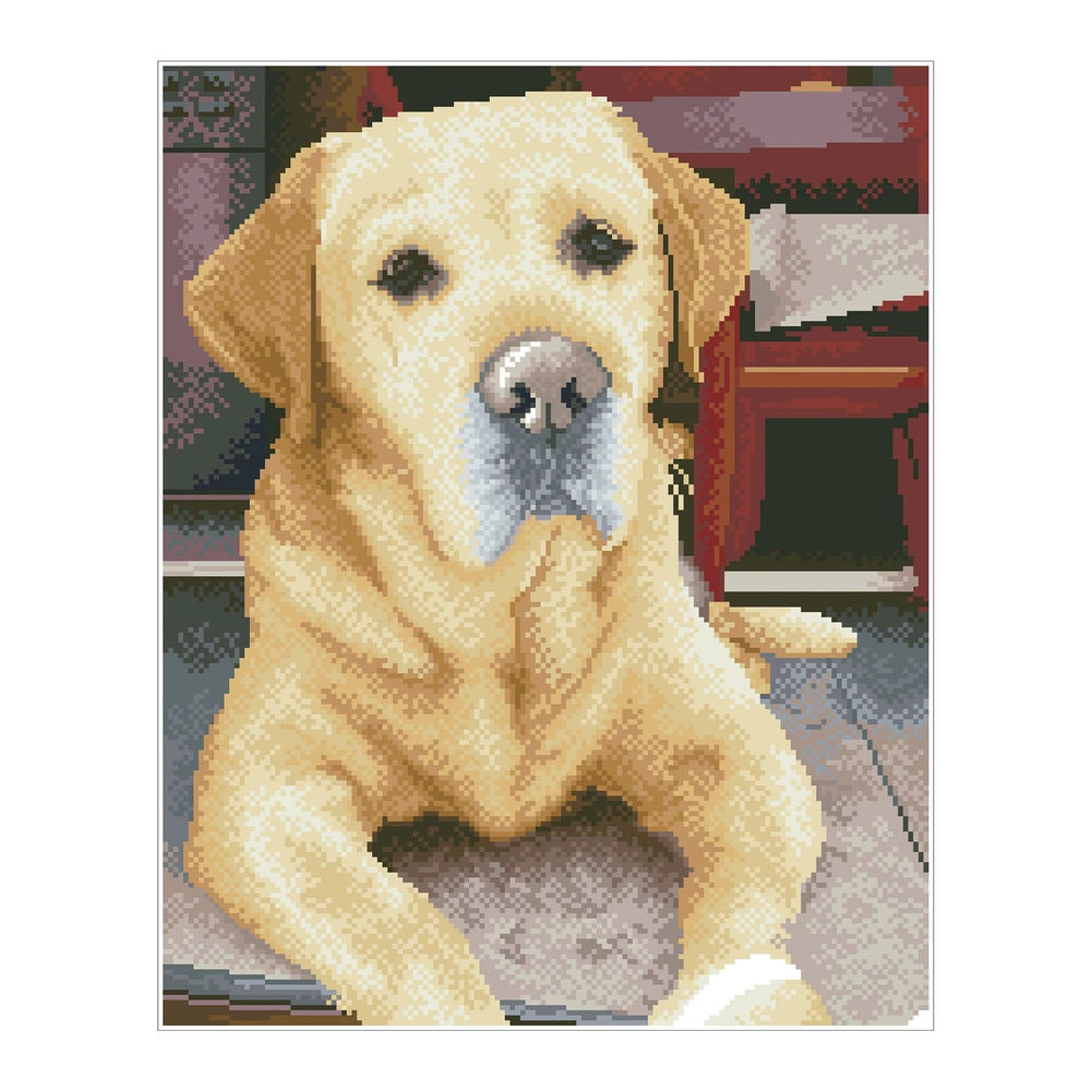 Diamond Painting Labrador