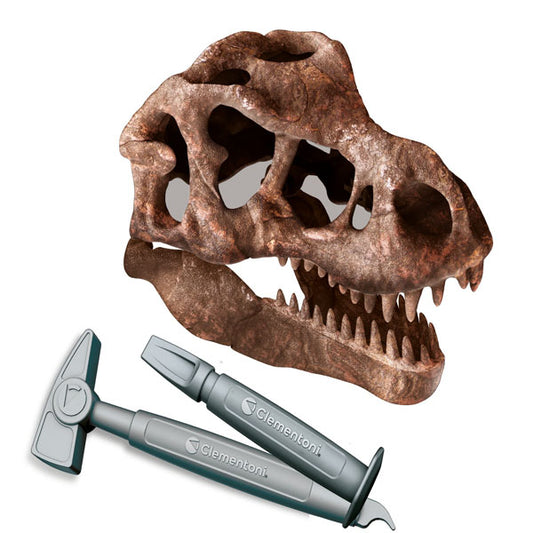 Clementoni Archéo Ludic, Crâne de T-Rex FR