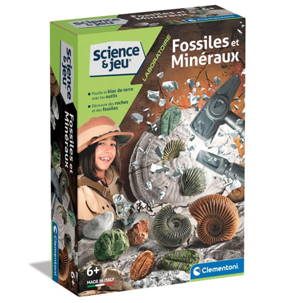 Fossiles et Minéraux FR