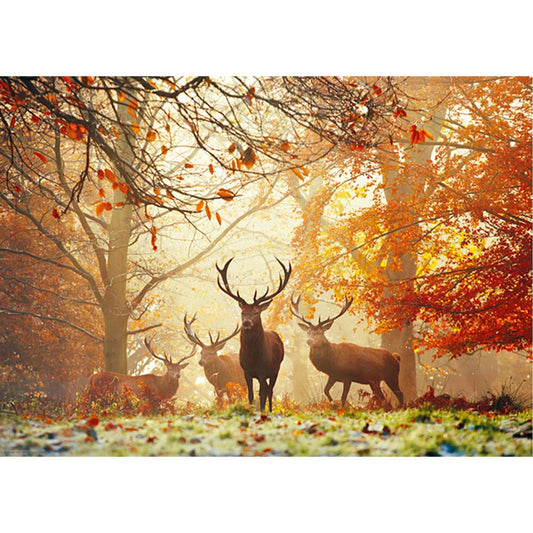 Heye Puzzle Cerfs Standard, 1000 pièces