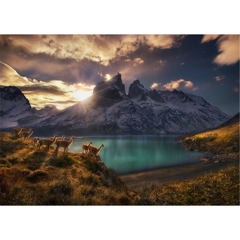 Puzzle Guanacos Standard, 1000 Teile