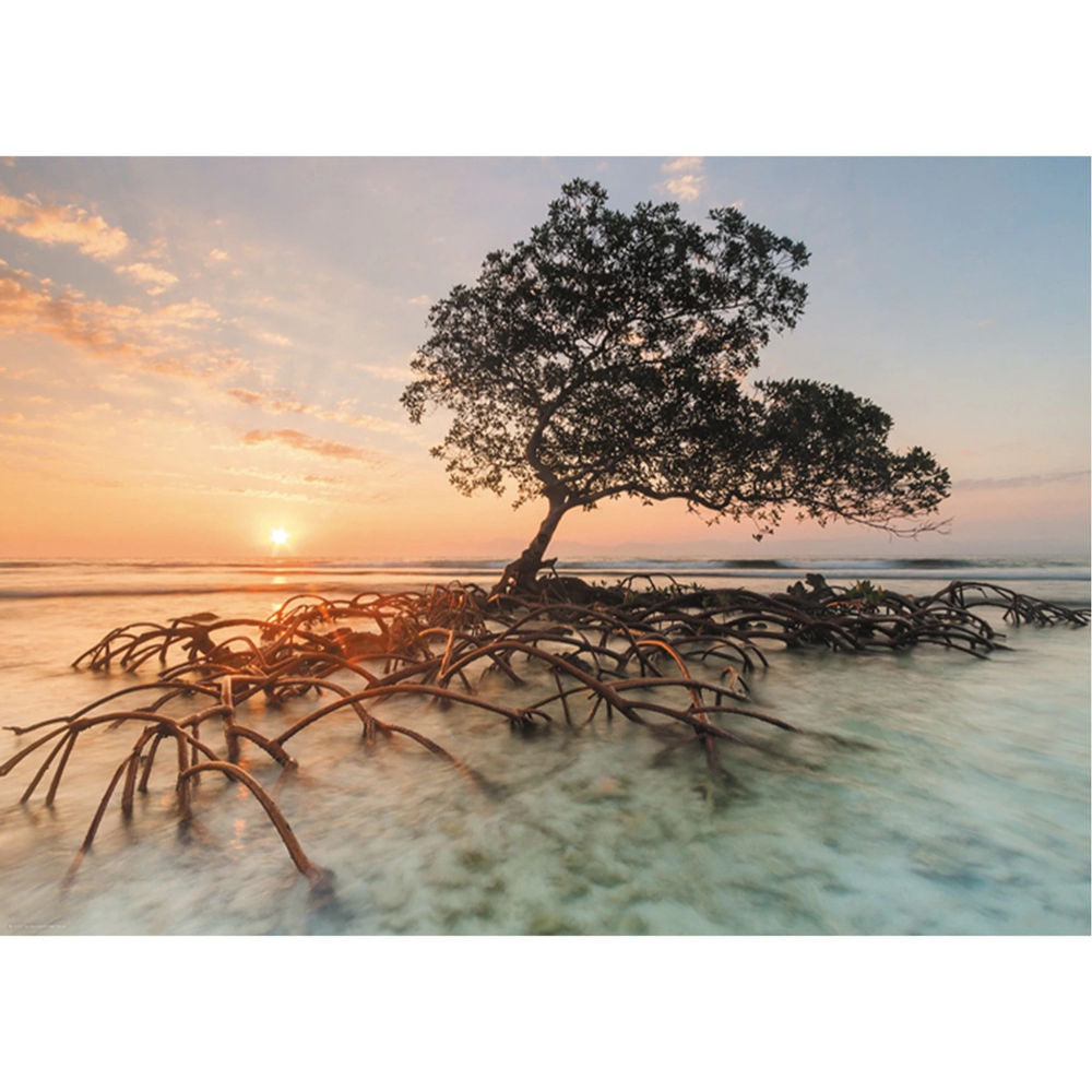 Puzzle Red Mangrove Standard, 1000 Teile