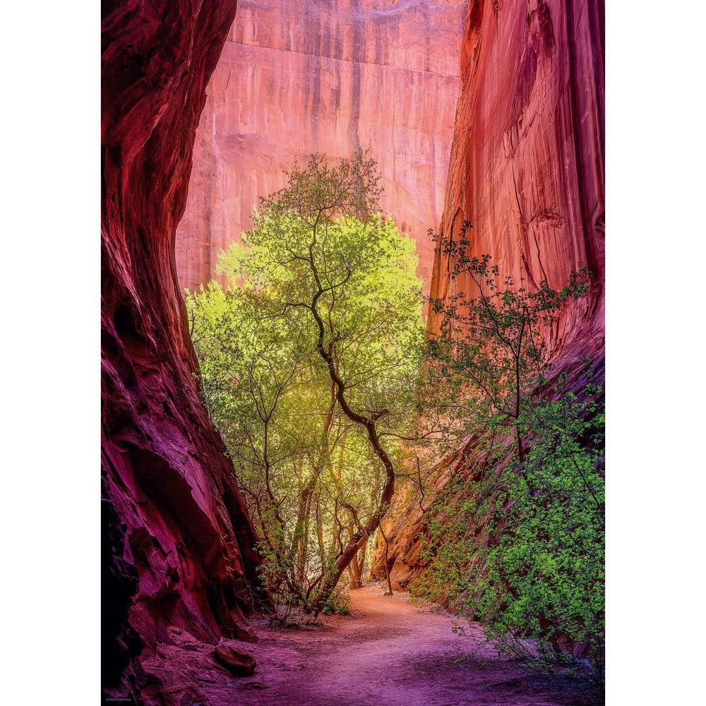 Heye Puzzle Singing Canyon Standard 1000 pieces