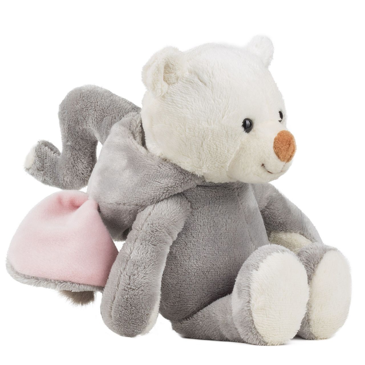 Schaffer Teddy Fant rose 27cm