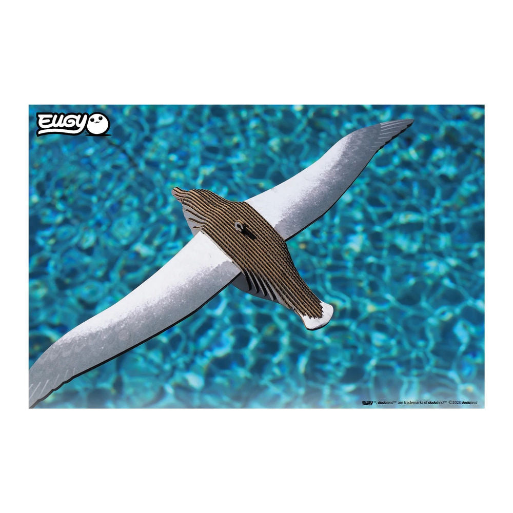 3D Bastelset Royal Albatross