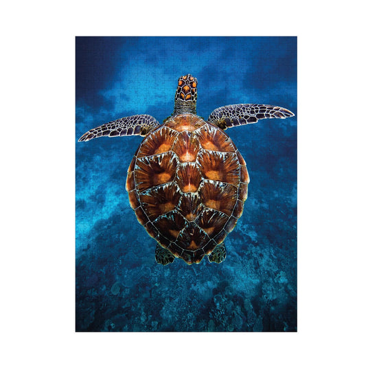 Ambassador Sea Turtle 1000 pieces