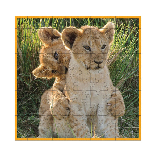 Lionceaux ambassadeur 100 pièces