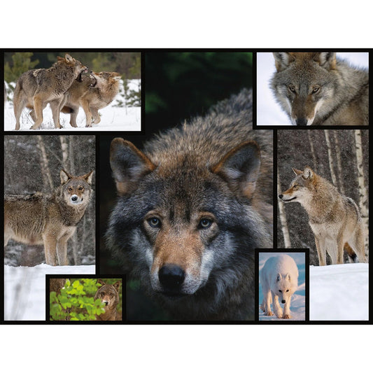 Ambassadeur Loups 1000 pièces