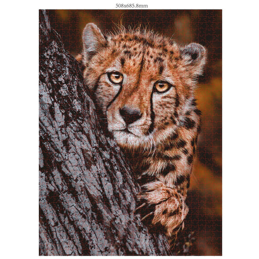 Ambassadeur Cheetah 1000 pièces (Donal Boyd)