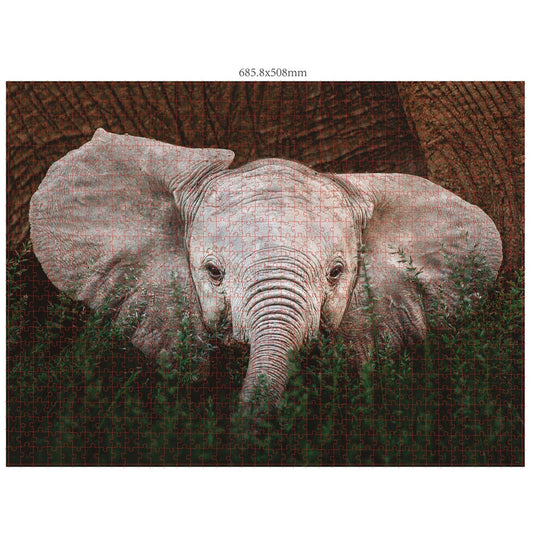 Ambassadeur Animaux Sauvages 3x1000 pièces (Donal Boyd)