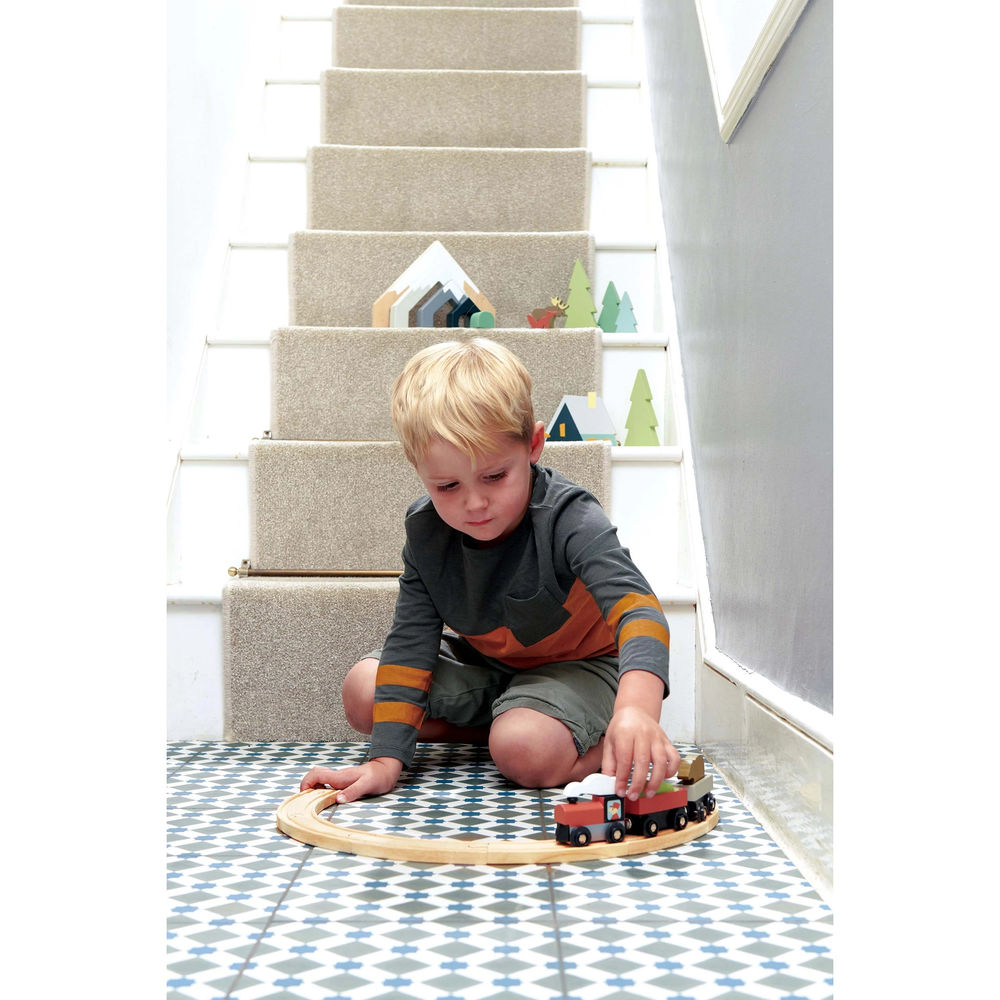 Tenderleaftoys Railway with Accessories