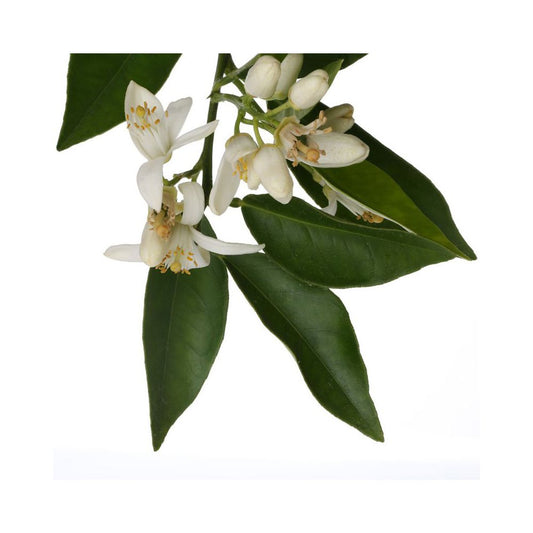 Florascent Aroma Spray Neroli, 15 ml