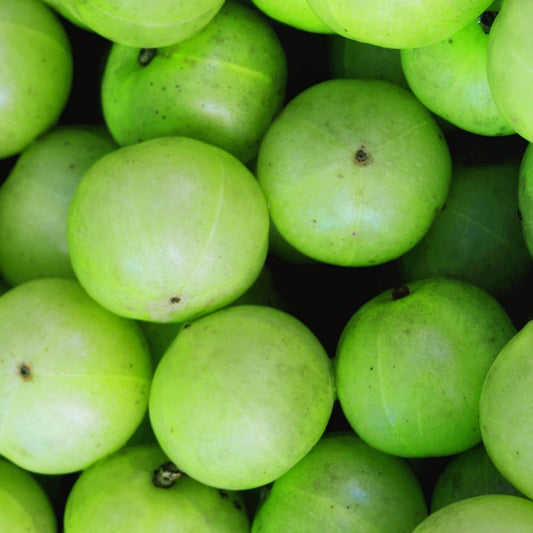 Khadi Wonder Tonique capillaire, 100 ml