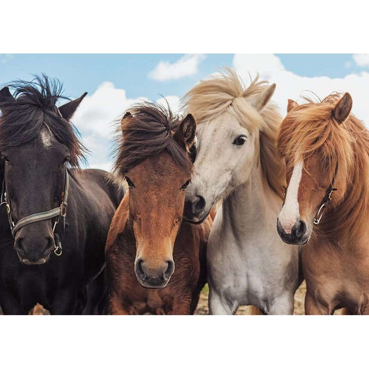 Puzzle Pferdeliebe, 2 x 24 Teile