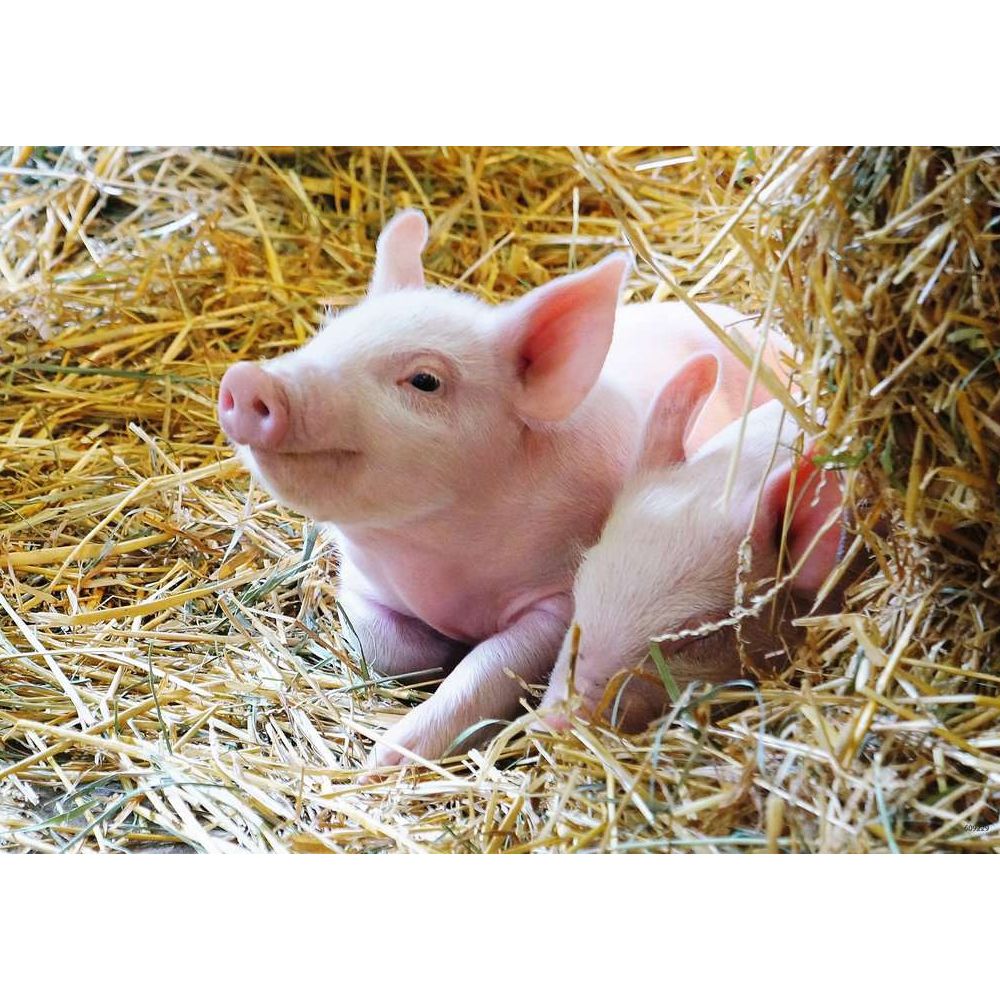 Ravensburger Nos animaux de la ferme