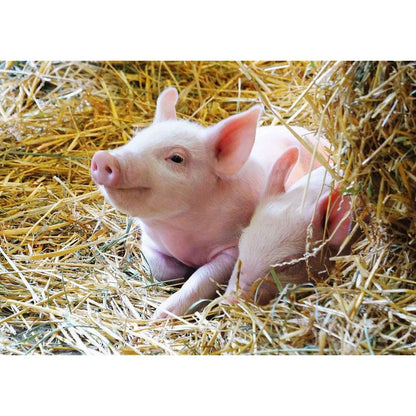 Ravensburger Nos animaux de la ferme