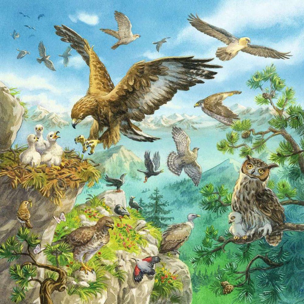 Animaux de Ravensbourg dans leurs habitats