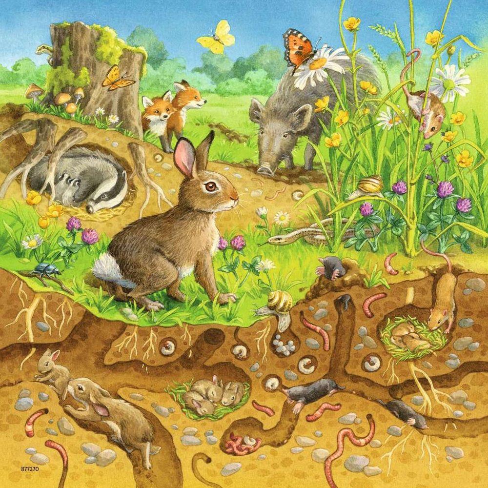 Animaux de Ravensbourg dans leurs habitats