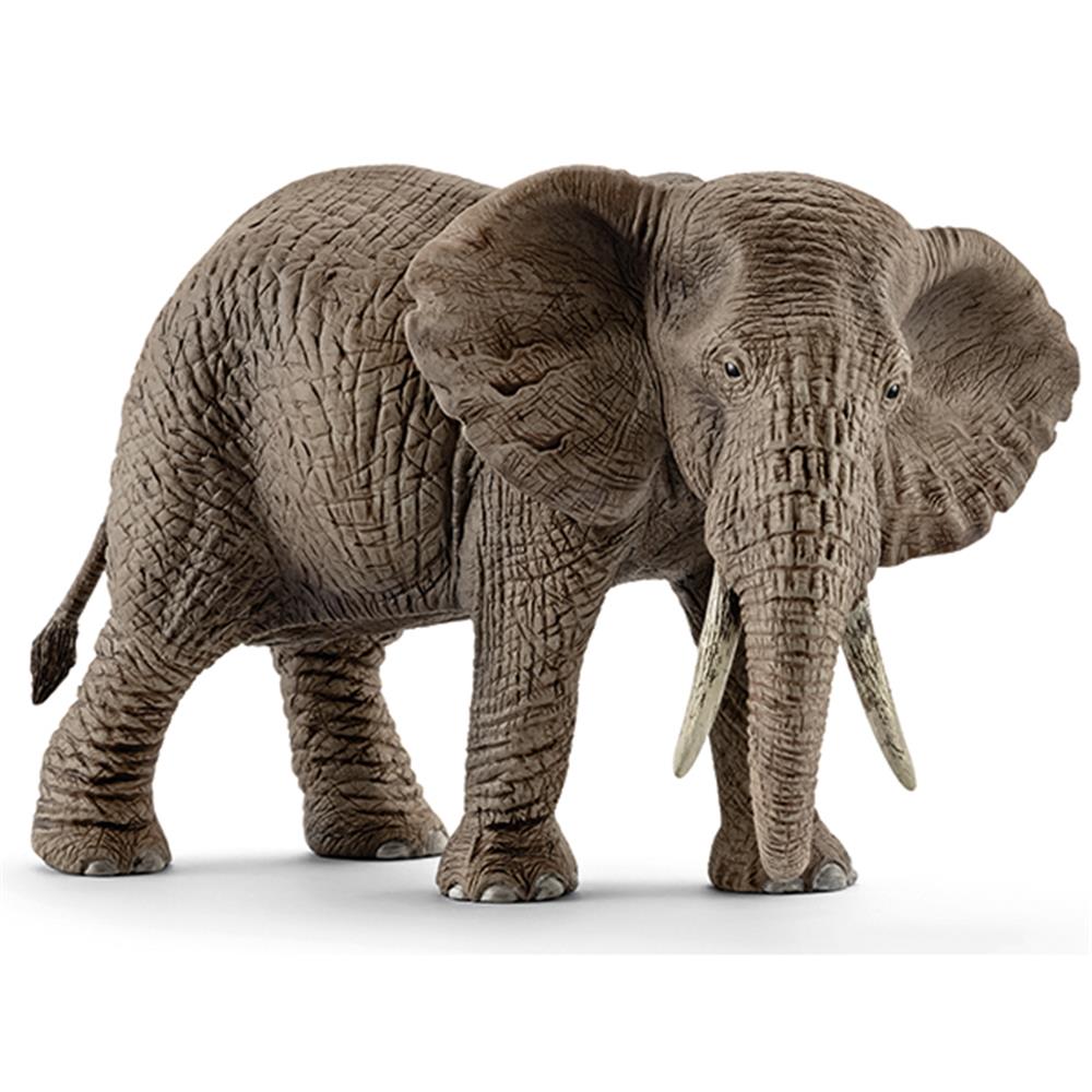 Schleich African Elephant Cow