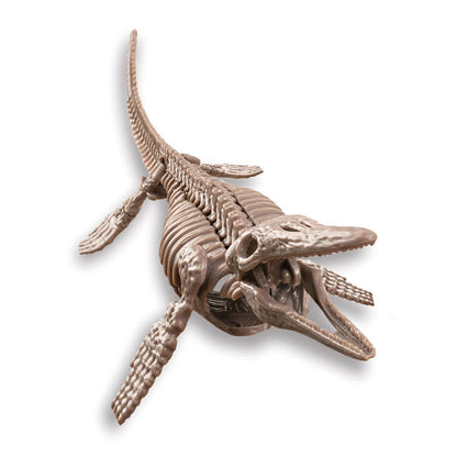 4m Dino Ausgrabungsset - Mosasaurus