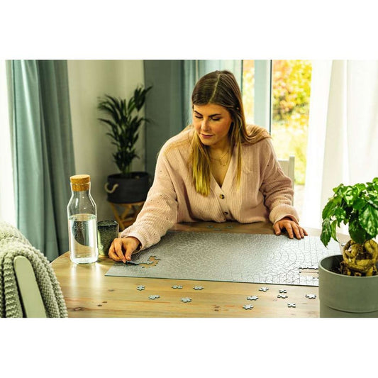 Ravensburger Krypt silver