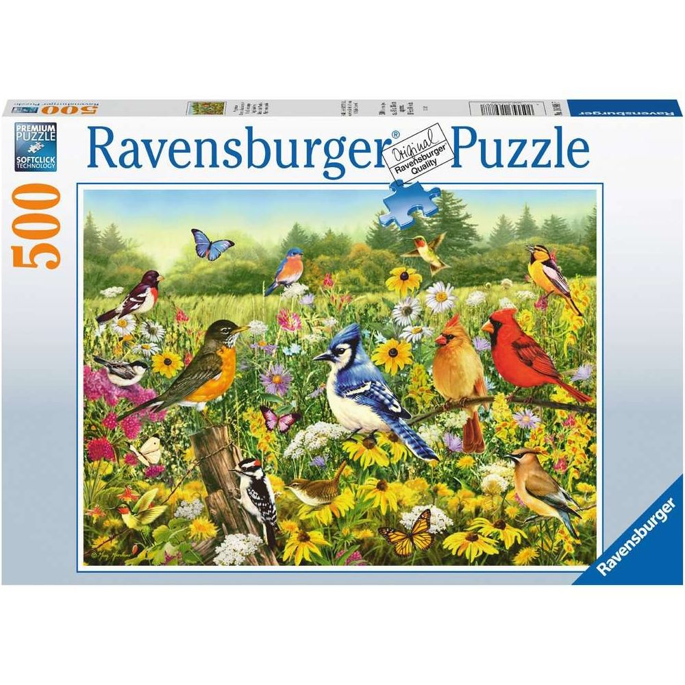 Ravensburger Vogelwiese