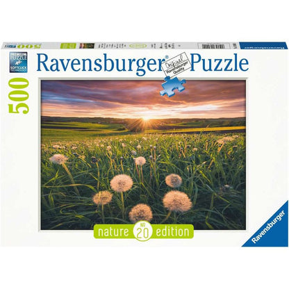 Ravensburger Pusteblumen im Sonnenuntergang