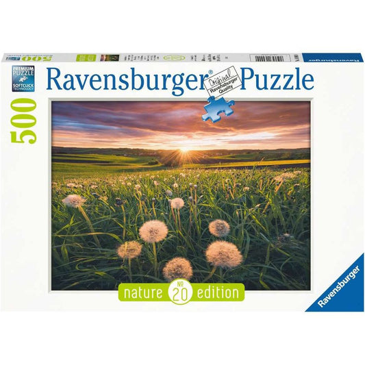 Ravensburger Pusteblumen im Sonnenuntergang