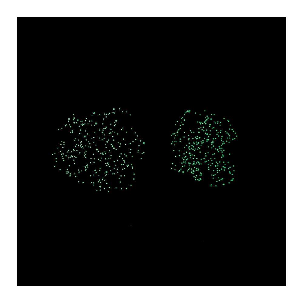 Autocollant Poppik affiche d'apprentissage carte du ciel