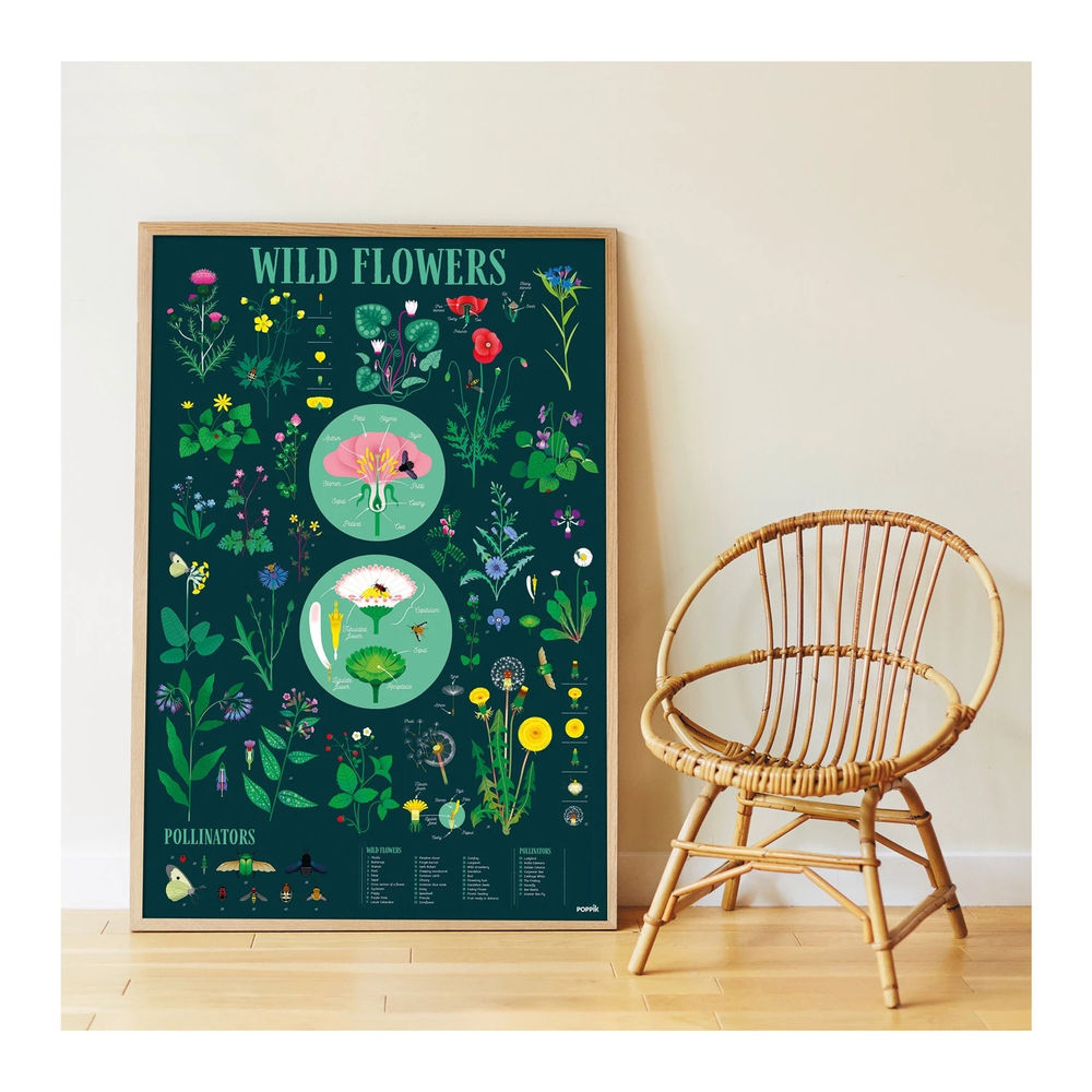 Autocollant Poppik affiche d'apprentissage botanique