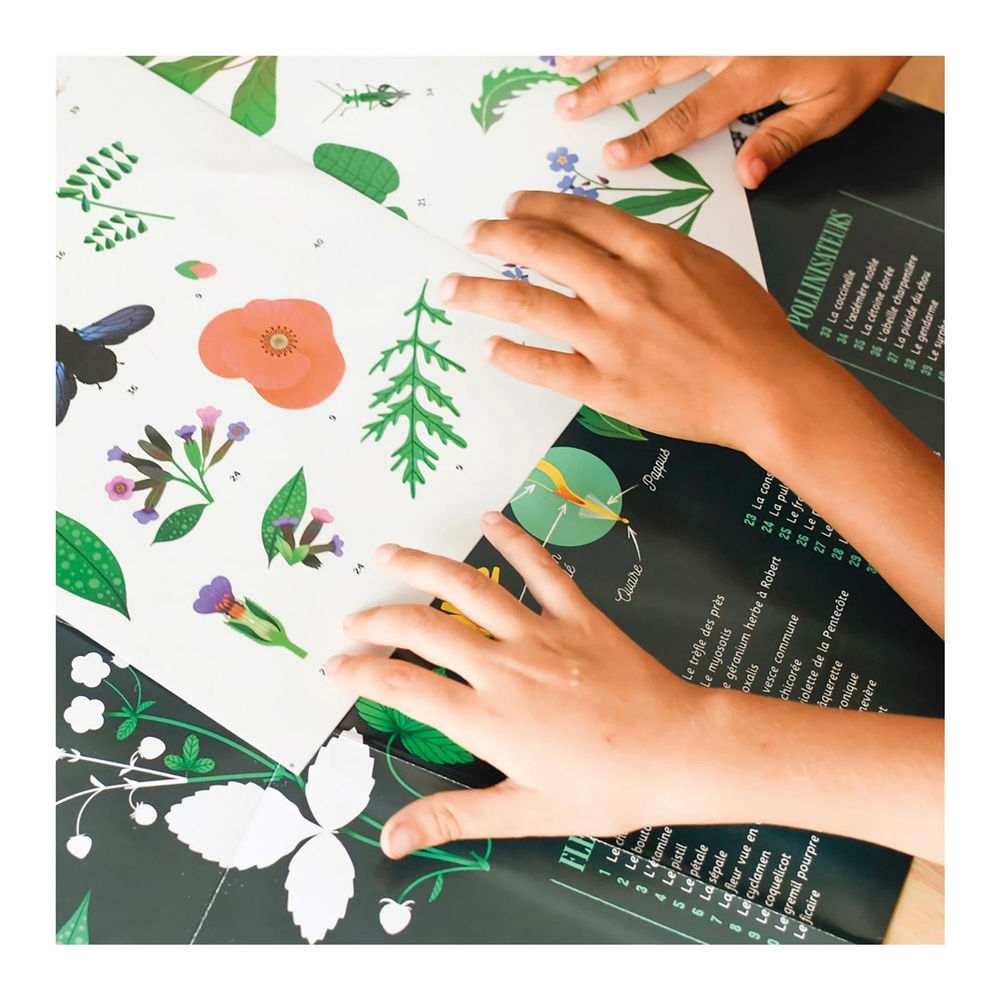 Autocollant Poppik affiche d'apprentissage botanique
