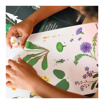 Autocollant Poppik affiche d'apprentissage botanique