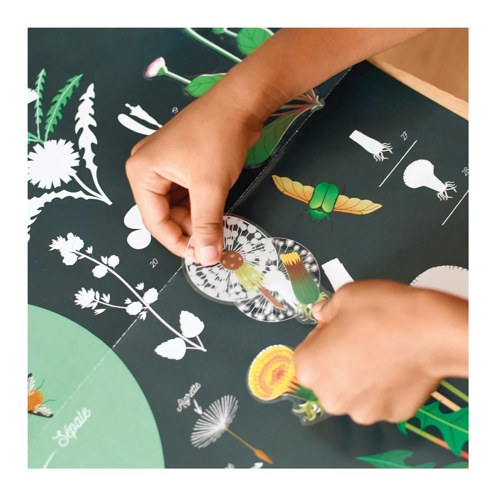 Autocollant Poppik affiche d'apprentissage botanique