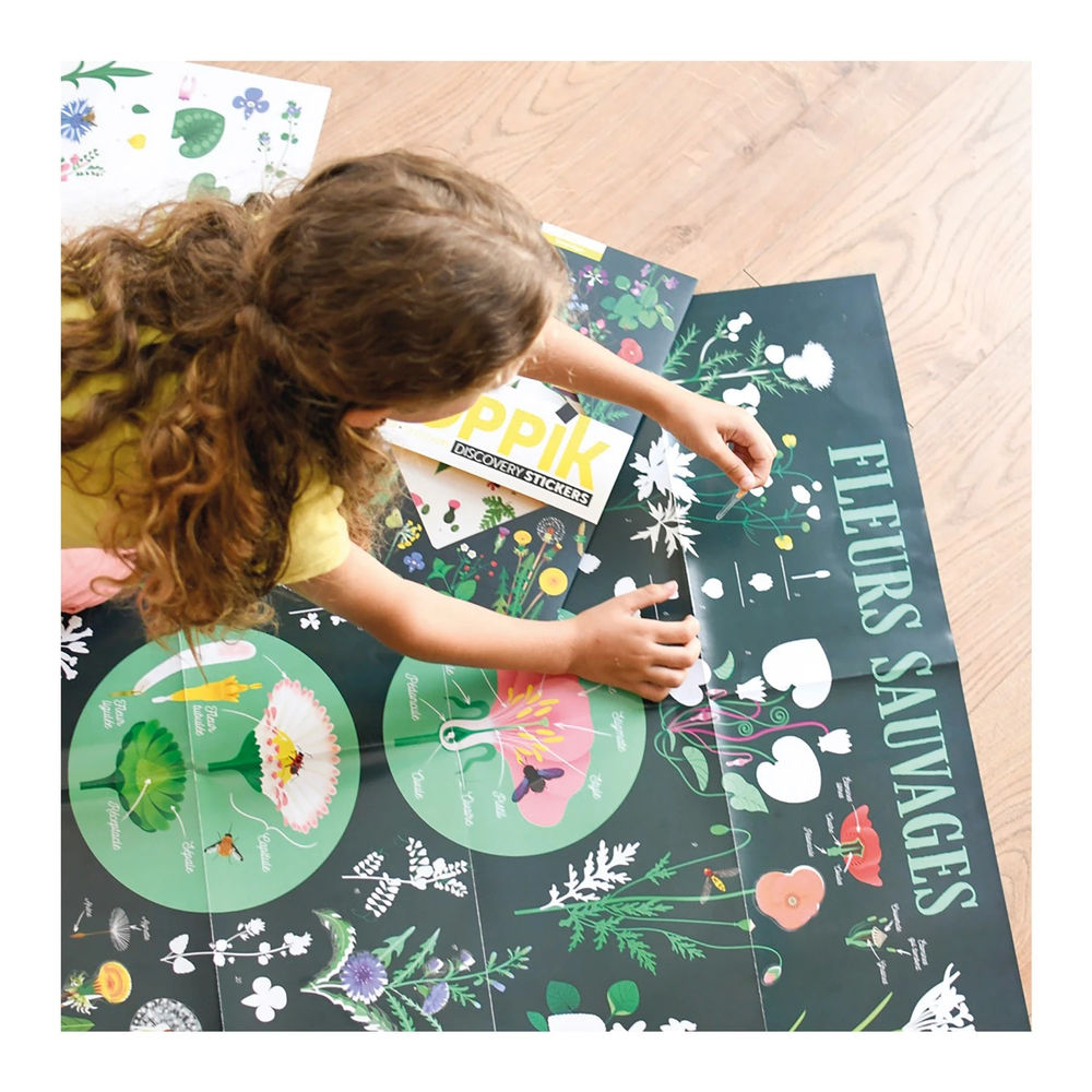 Autocollant Poppik affiche d'apprentissage botanique