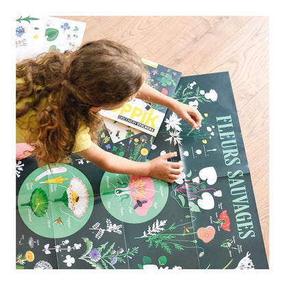 Autocollant Poppik affiche d'apprentissage botanique