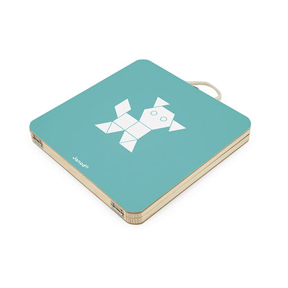 Janod Magnetic Puzzle Geometry