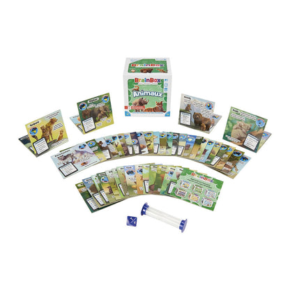 BrainBox - Animals (f)