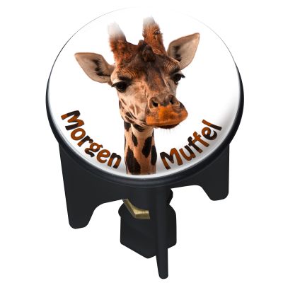 Wenko Pluggy grogne matinal