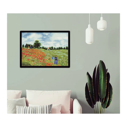 Diamond Painting Poppy Fields (Monet)