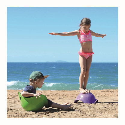 Moluk Bilibo, violet