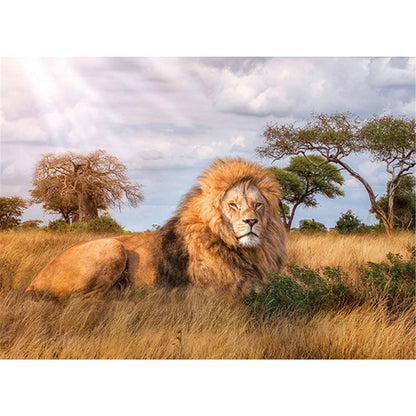 Clementoni Puzzle Le Roi, Lion 1000 pièces