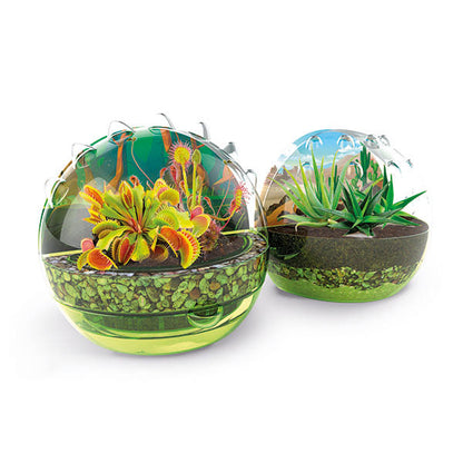 Clementoni The world of carnivorous plants DE