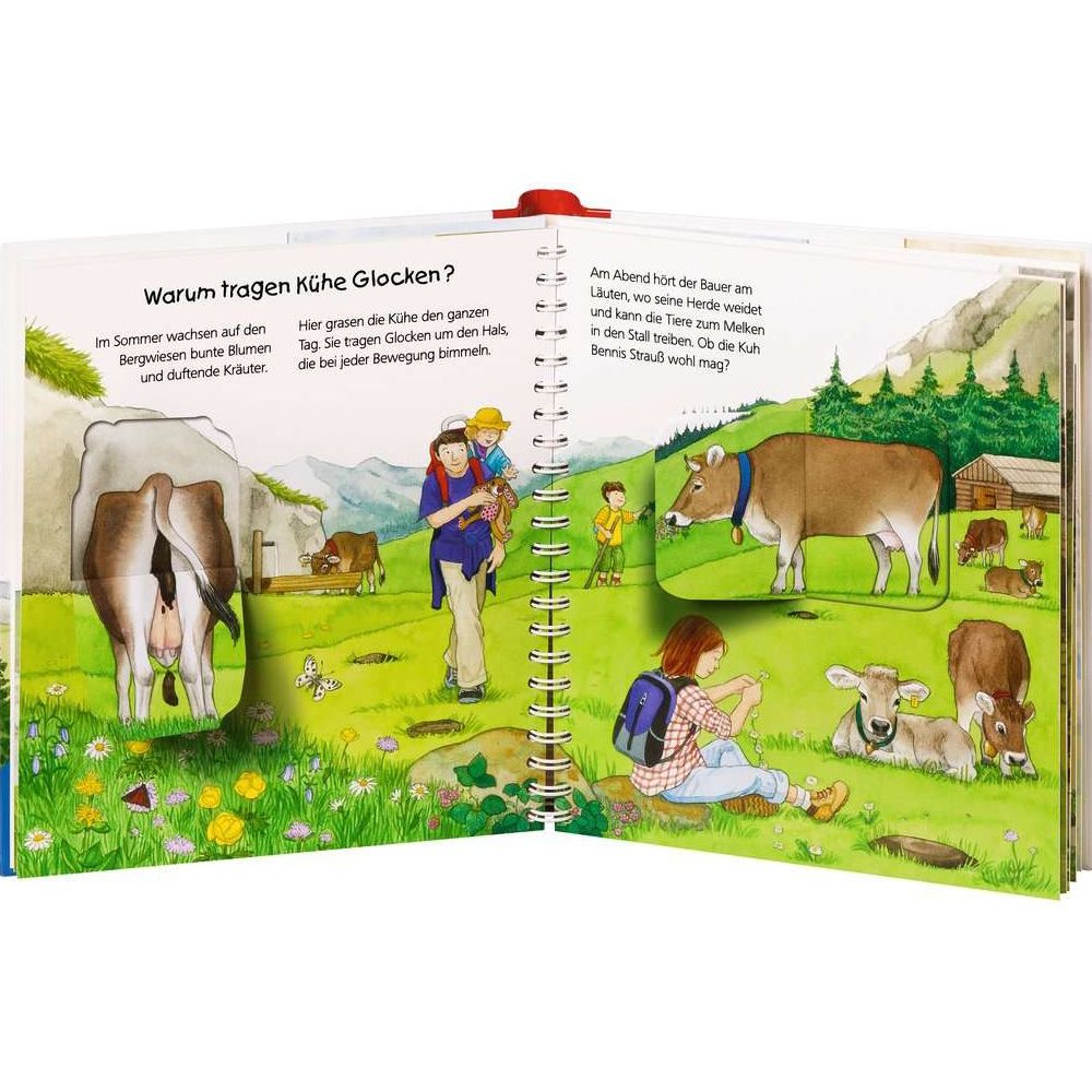 Ravensburger Pourquoi ? Pour quelle raison? Pourquoi? junior, tome 42 : En montagne